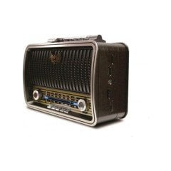 NOSTAJİ RADYO PG-4401