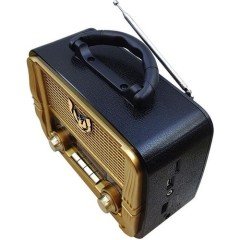 PG-4402 NOSTAJİ RADYO