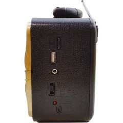 PG-4402 NOSTAJİ RADYO